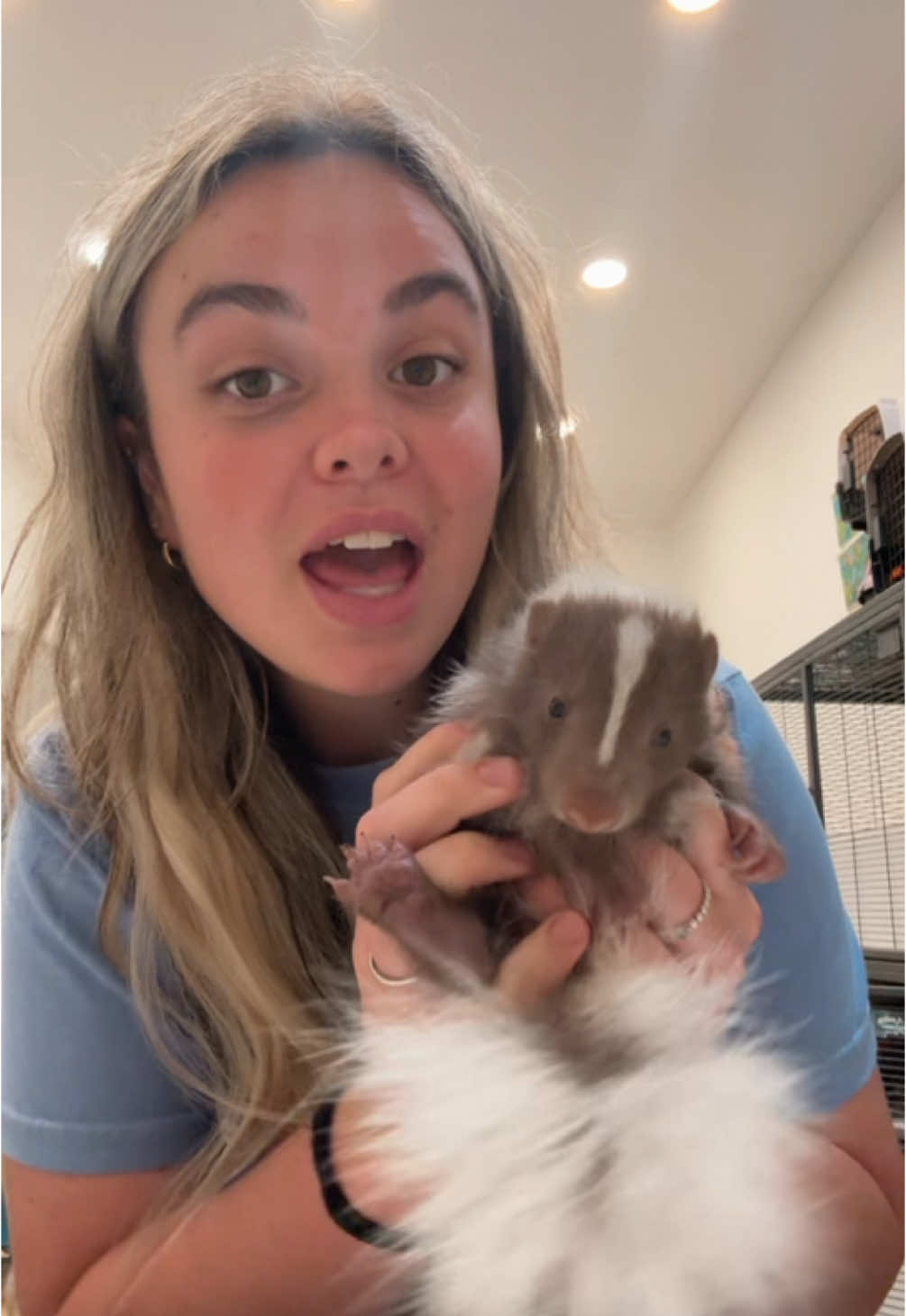 Let me give you some facts about skunks! 