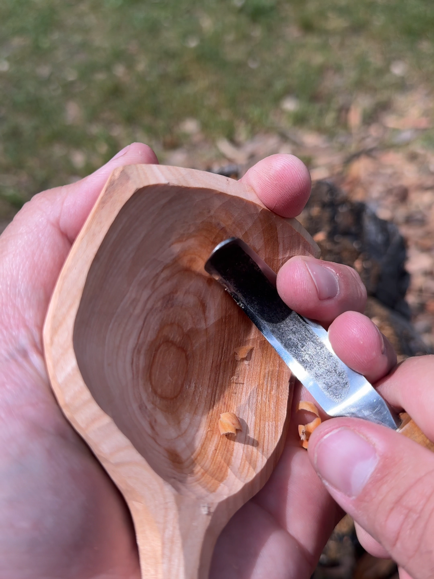 If you carve a new spoon every day then you'll never have to wash the dishes.