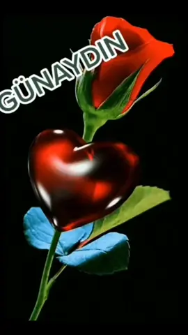 #anılar #günaydın_hayırlı_sabahlar #yenibirgünebismillah #keşfetteyizzz #keşfetolsunlütfen 