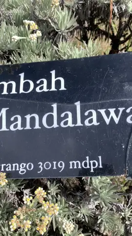 walopun ga sebagus surken tpi worth it lahh#gununggedepangrango#lembahmandalawangi ##fyp #wargasurken #pendakifomo 