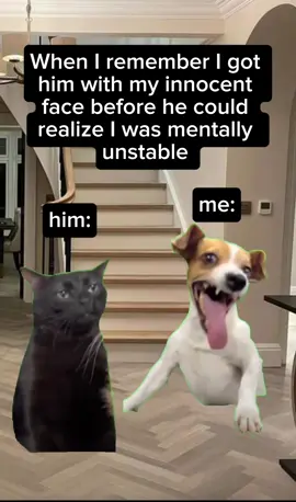 🤣🤣 follow 👉 @itsgivingthirties  #fyp #humor #funnytiktok #memestiktok #Relationship #husbandandwife #relatable 