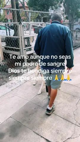 Dios te bendiga siempre siempre mi amigo y te quiero mucho mucho no sos minored de sangre pero te amo como como amo  como amo mi papá 