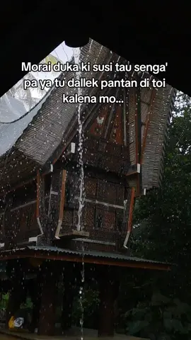 #toraja #torajasulawesiselatan  #perantau senga' tau senga' dalle' na😇