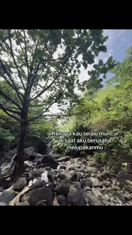 Knpaaa