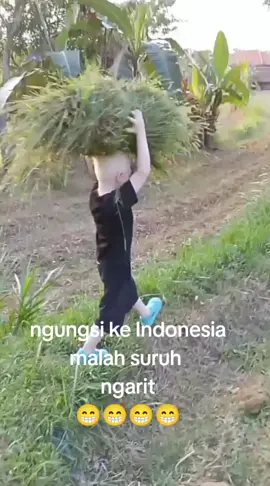 #pengungsi Israel #tukang ngarit