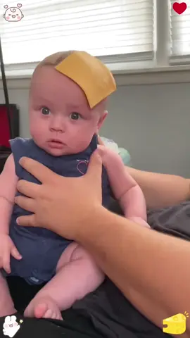 I love the cheese calming effect ☺️#cutebaby #funnyvideos #babiesoftiktok #funny 