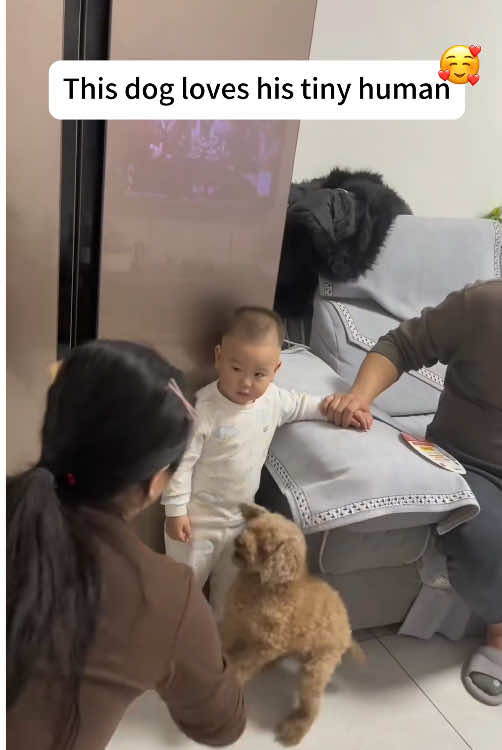 The dog loves his tiny human #dog #protect #baby #fyp #tiktok 