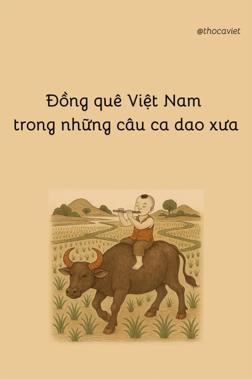 #cadao #thocaviet #tiktok #xhtiktok 