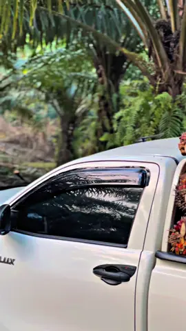 🫨#hilux4x4 #hiluxrevo #sawitmalaysia 