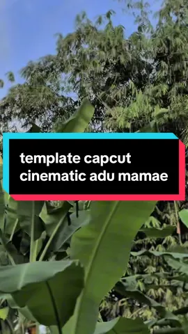 #CapCut adu mamae☝🏻😋 #actemplate #templatecapcut 
