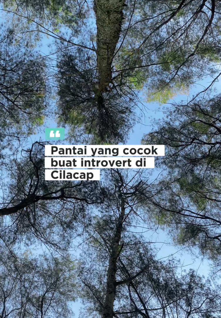 Salah satu pantai di cilacap yang pengen aku kunjungi kembali😇ada yang pernah ke sini? Vibes nya bener bener bikin tenang apalgi pas perjalanan di suguhi view pohon kelapa menambah ke estetikan pantai ini kalian wajib datengin tempat ini sunsetnya juga bagus banget cek postingan aku sebelumnyaa… 📍 Pantai Sodong Cilacap🏝️ #pantai #cilacap #cilacap24jam #cilacapngapak #jawatengah 