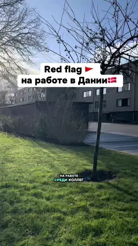 Рахмет за лайк🥰 #жизньвевропе #работазаграницей  #иммиграция #жизньзаграницей 