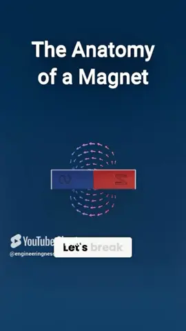 The Anatomy Of A Magnet Discover how magnets work in this quick breakdown of their key components! Learn about magnetic poles, magnetic fields, and magnetic domains, and see how the force between poles is calculated 🧲⚙️ #science #fyp #electricalengineering #magnet #engineering 