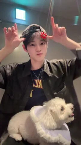 💢💢🐕 💢 #CHENLE  #NCTDREAM #DREAMQUEST  #NCTDREAM_FANMEETING_DREAMQUEST
