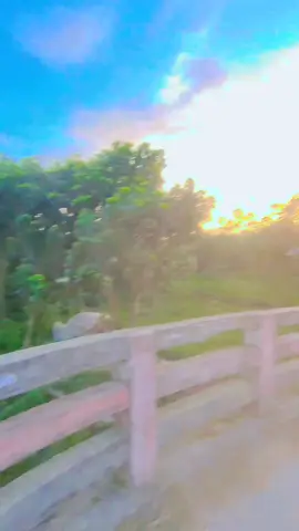 #foryou_video #foryou_tick #🥰🥰❤️❤️🥰🥰💕💕💗🥀🥀😜😜🥰🥰 