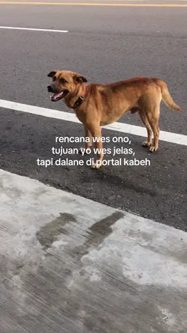 babat alas gawe dalan dewe🤯#fyp #fypシ #fypシ゚viral #fypdongggggggg #videoviral #jawapride #taiwan🇹🇼