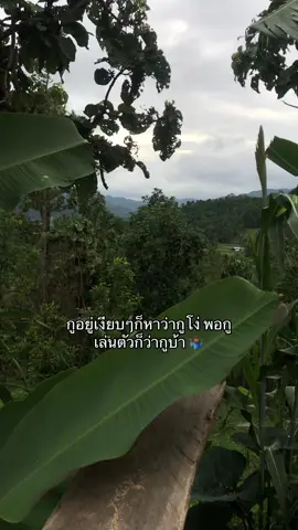 # รีโพสต์ทีค้าบบ😘 # ฟิดดดシ 