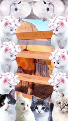 #foryou #dogmeetingpuppy #unfreezemyaccoun #growmyaccount #virltiktok #viralvideos #foryoupagee #satndwithkashmir #noteligible #unfreezemyacount #animalmeetin 