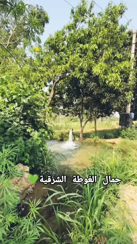 #سوريا #الغوطة_الشرقية #مسرابا #دوما #حرستا #عربين #جوبر #متابعه_ولايك_واكسبلور_احبكم #couple #اعادة_النشر🔃 #،❤️❤️ 