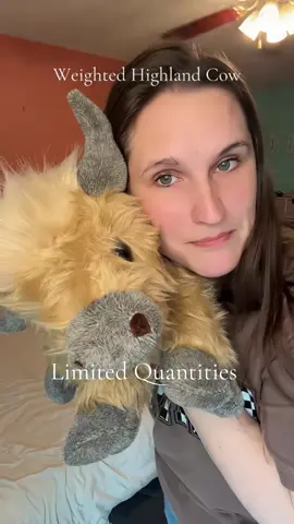 My Emotional support cow #tiktokmademebuyit #dealsforyoudays #tiktokshopcreatorpicks #tiktokshopsummersale #weightedblanket #weightedstuffedanimal #stuffedanimals #emotionalsupportanimal #highlandcow 