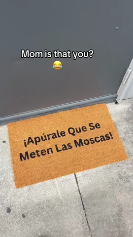 Apurale que se meten las moscas doormat