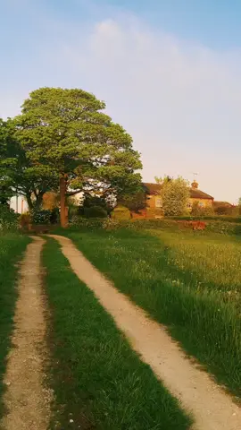 Bridleways 🍃 // #fyp 