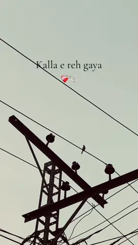 Kalla e reh gaya🥺❤️‍🩹#foryou #foryoupage #hanzla #viralvideo #tiktok #1millionaudition #pyfツ 