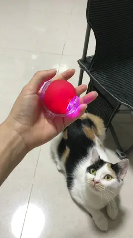 #catball #cattoys #tiktokshop 