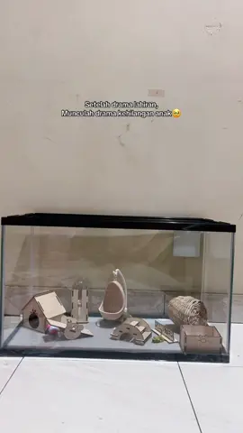 Ganti kandang ah, siapatau hamil lagi #videoanak #hamsters #hamstersoftiktok #kandanghamster 