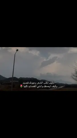 #جازان_الحب 