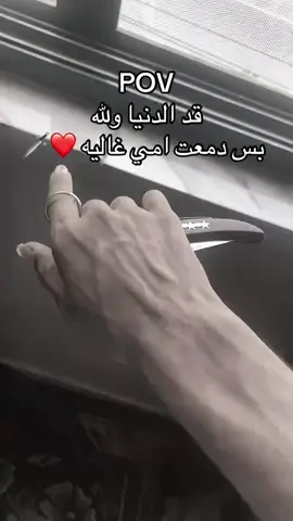 #المطوه_فى_ايدى_فاتحها #الشعب_الصيني_ماله_حل😂✌️ 