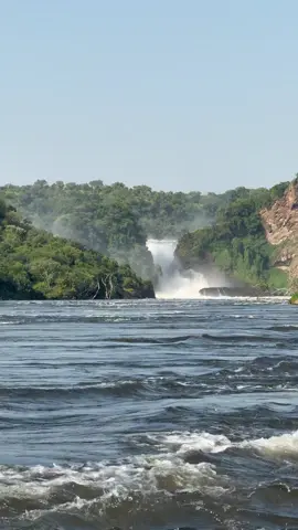 How beautiful a cruise on the famous Nile River gets y’all! Afternoons like these don’t come often and to spend yours here is a game changer! Welcome to Uganda | Welcome to Paradise 😃🔥 #nature #rivers #waterfall #safari #travel #traveltiktok #explore #wildlife #adventure #fyp 