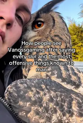 THIS ISN’T HATE, I really enjoy the edgy stuff the crew does!🤫👍 #fyp #meme #vanossgaming #vanosscrew #dathidenogla #terroriser #vanoss #foryoupage #fypシ 