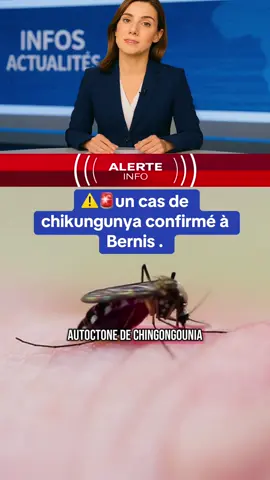 un cas de chikungunya vient d’être confirmé a Bernis dans le Gard  transmis par le moustique -tigre  #actualite #info #moustiquetigre #moustique #chikungunya 