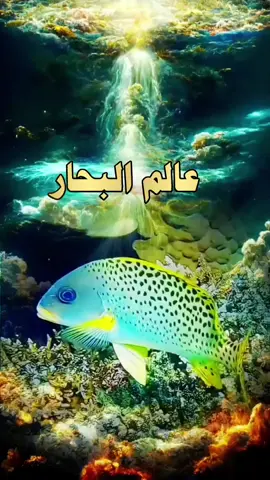 عالم البحار  #fouryou#fyp#viral#islamic_video #fouryoupagge#المغرب#السعودية#مصر#الجزائر 