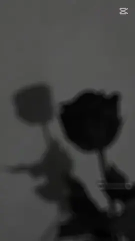 ♥️💜💙🩵