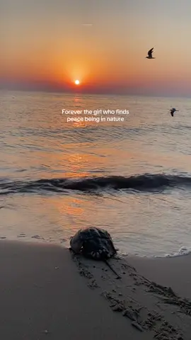 It’s my happy place #nature #sunset #beach #peace #calmingnature #trendingsound #relatable #fyp #foryou