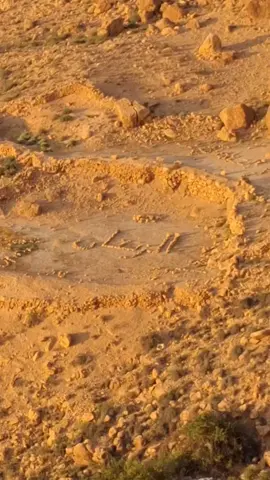 #الزنتان_تااغرمين_الوااشين_🔥🦅 #اوباري_ليبيا_الجنوب_الليبي #هراوة_سرت_ليبيا🇱🇾 #جزائر_ليبيا🇩🇿🇱🇾✌️ 