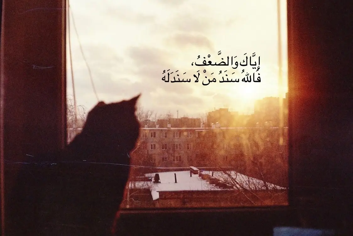 «إِيَّاكَ وَالضَّعْفُ» تشبَّثْ باللهِ، وتزوَّدْ من الإيمانِ عزمًا،  فإن القلوبَ إذا اتصلتْ بخالقِها، لم تضعفْ أمامَ شيء #oops_alhamdulelah 