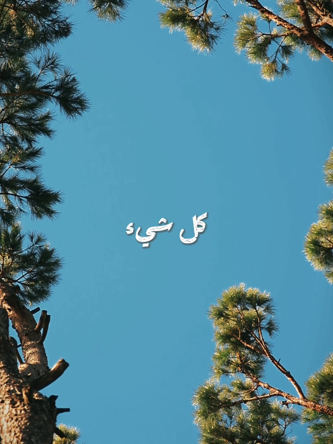 الله العالم بمصلحتي 💚✨️ . . . #سيد #شهيد #بعلبك #البقاع #الجنوب #قائد #tiktok #capcut #fyp #vairal #trend 