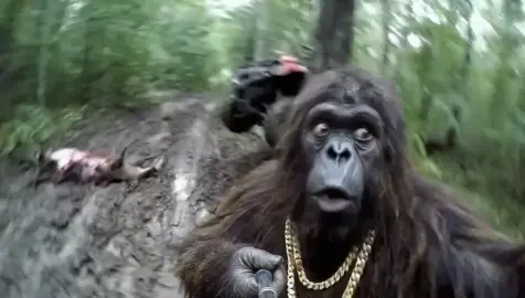 #Tatcha #bigfootvlogs #war #funny #trending #dayinthelife #bigfoot #relatable #foryoupage 