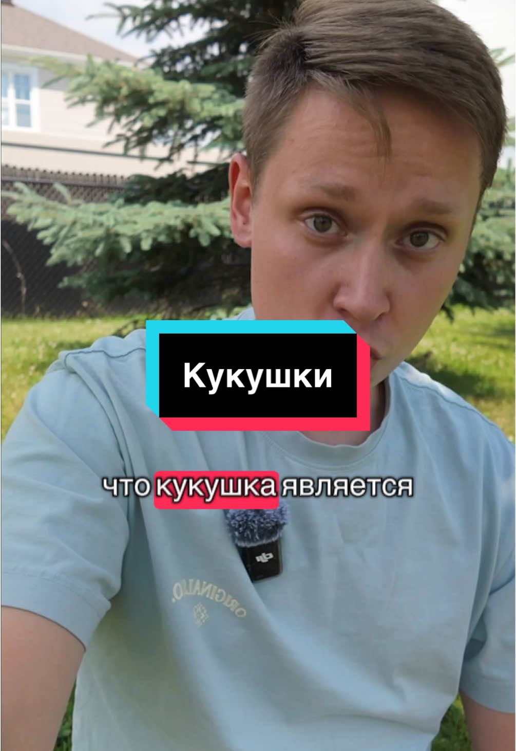 Как живут кукушки и почему они являются самыми совершенными гнездовыми паразитами