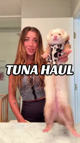 She really put in some work this week😭 #tuna#tunahaul#ferret#ferretsoftiktok#ferrettok#pets#fyp#foryou#foryoupage#animaltok#dogtok#cattok#babytok#toddler#momtok#momlife#dogsoftiktok#funnyanimals#funnypets#animalvoiceovers#voiceover#southerngirl#PetsOfTikTok#zoo#Home#house#clothes#georgia#southgeorgia #baby#toddler#momhack#instaferrets#instaanimals#ferretfood#tunastable#feedingferrets#petfood#petbrands#ferretbrands#ferretfood#whatdoifeednyferret#tunastable#asmr#mukbang#whatdoferretseat#petnames#funnypetnames#petsnamedafterfood 