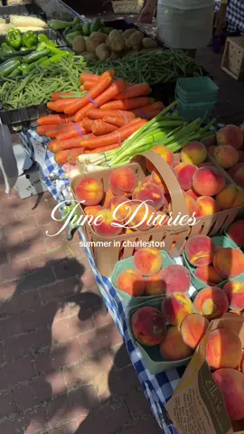 June diary: summer in charleston edition 🌸🦢🍑 #charleston #girlythings #girly 