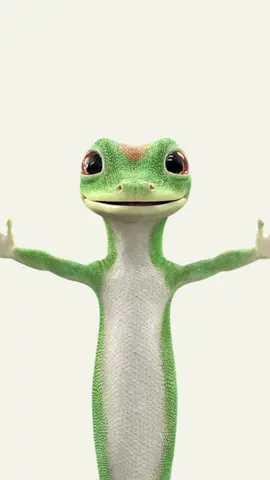 🦎🦎🦎🦎🦎🦎🦎🦎🦎🦎🦎🦎🦎🦎🦎🦎🦎🦎🦎🦎