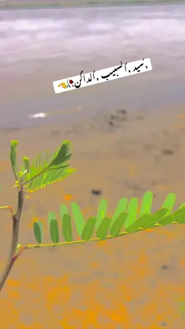 #مشاهير_تيك_توك_مشاهير_العرب #جوخو،الشغل،دا،يا،عالم،➕_❤_📝إكسبلورر #جوخو،الشغل،دا،يا،عالم،➕_🌍 #مشاهير_تيك_توك_مشاهير_العرب🌺💜 #tiktokindia #fyppppppppppppppppppppppp #fyp #الاخوان_نعمه_وسند😍😍 #جوخو،الشغل،دا،يا،عالم،➕_❤_📝إكسبلورر #مشاهير_تيك_توك_مشاهير_العرب 