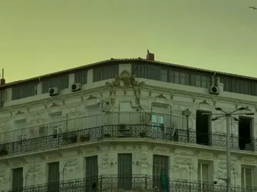 Algiers with sunset 🌅  #cinematic #algeria #sunsets 