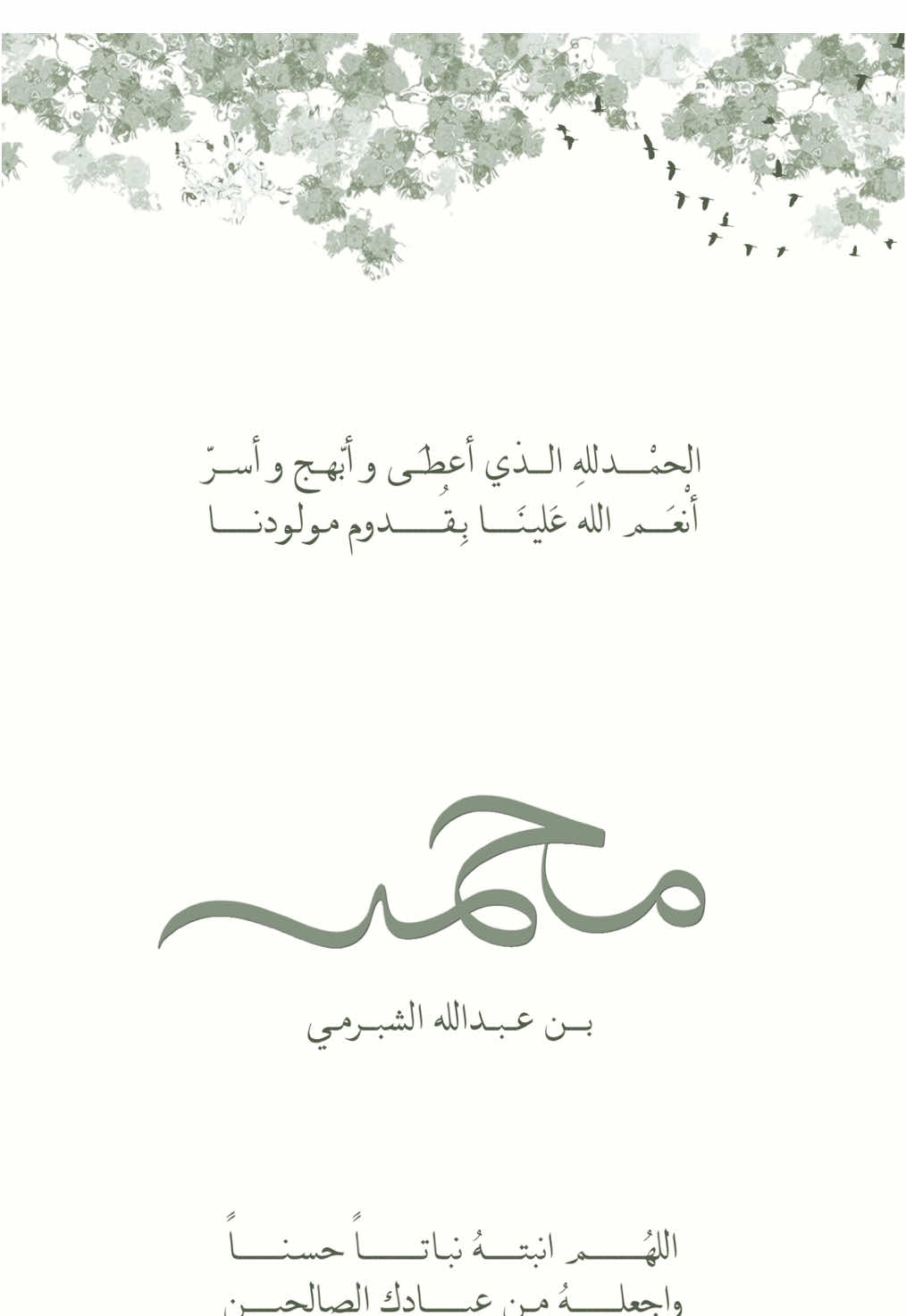 بشارة مولود محمد🤍 #بشارة_مولود #استقبال_مواليد #دعوة_مواليد #بشارة_حفيدي #محمد 