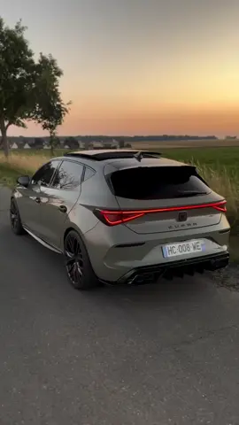 #tik_tok #عشاق_المتريال_الخشين😍🤤 #leonalgerie🖤💣 #cupra 