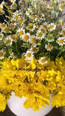 Yellow flowers make me smile 😊🌼 . . . . . . #flowers#mums#mumflowers#chamomile#chamomileflowers#happiness#yellow#yellowflower#fyp